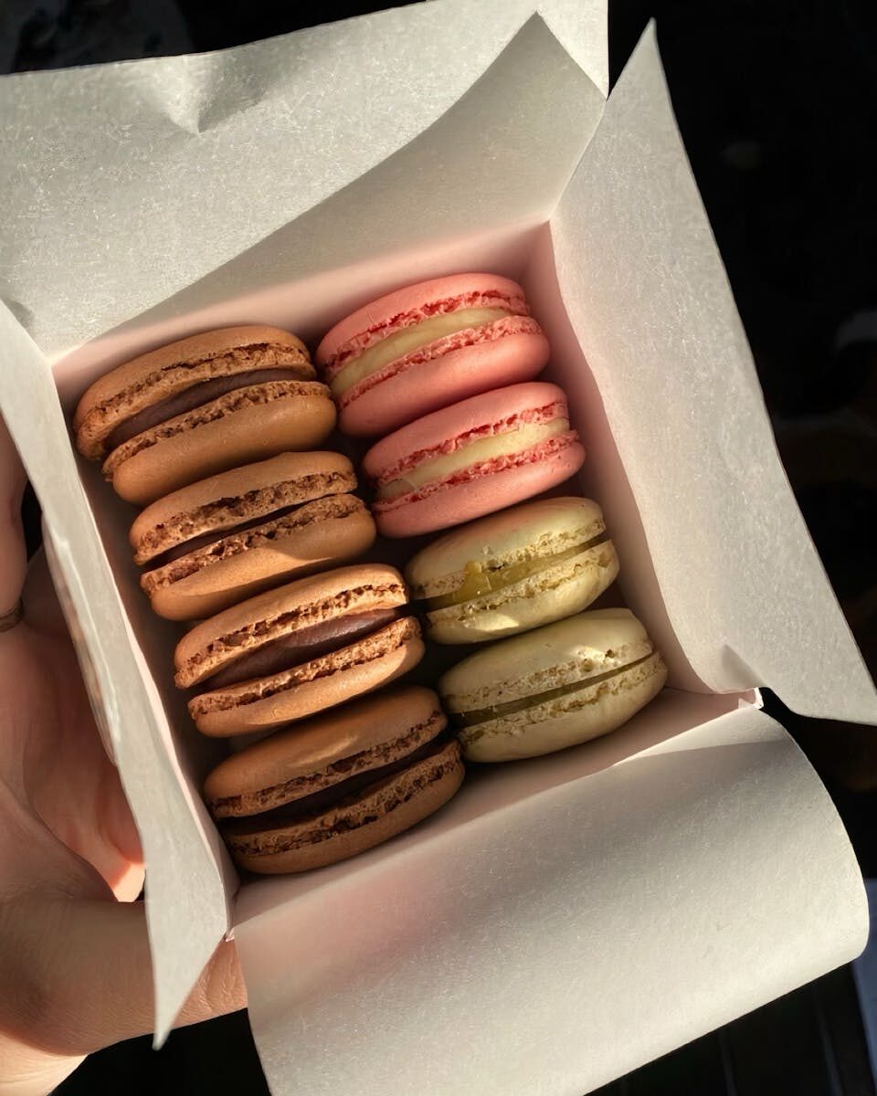 A box of assorted macarons in various flavors captured in soft natural light.